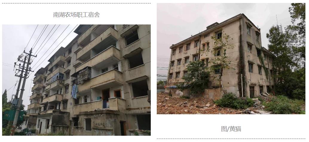 1571027526949133Xeb1.jpg 4.jpg